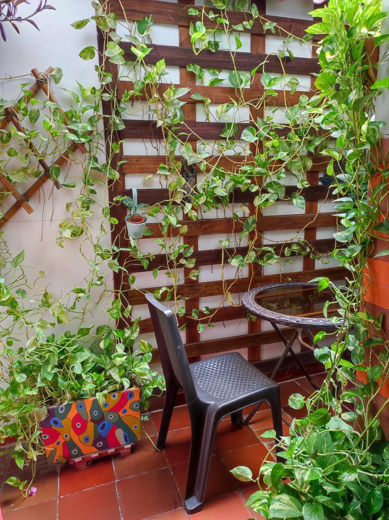 Hotel Balcones De Venecia *