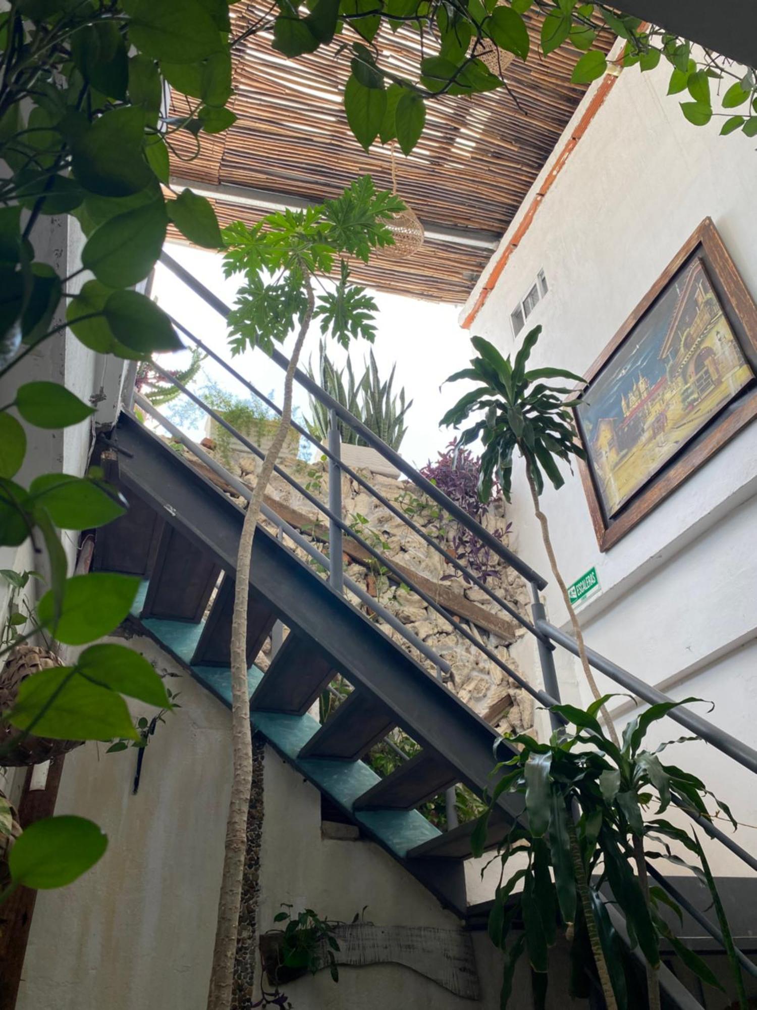 Hotel Balcones De Venecia