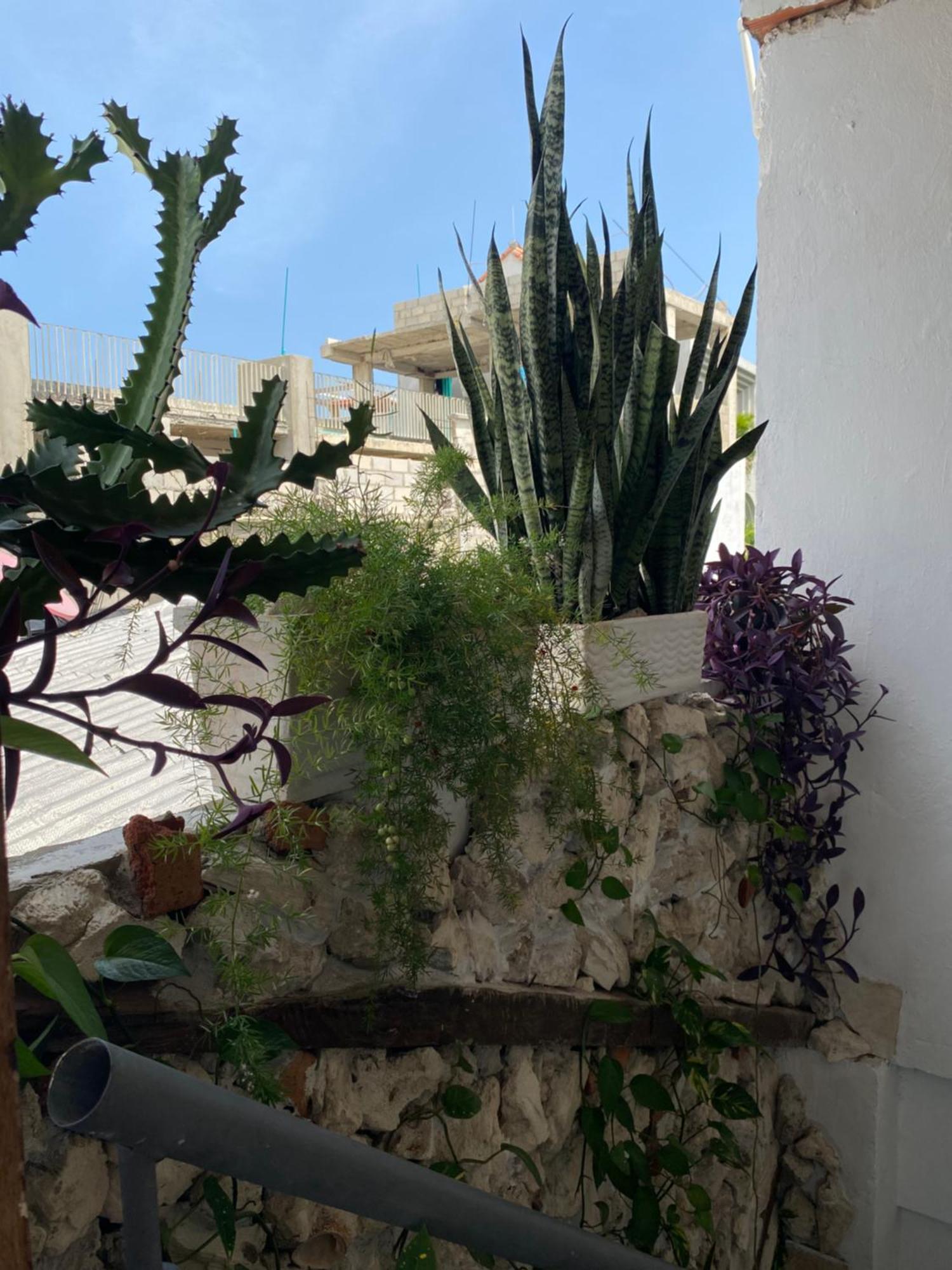 Balcones De Venecia Hotel